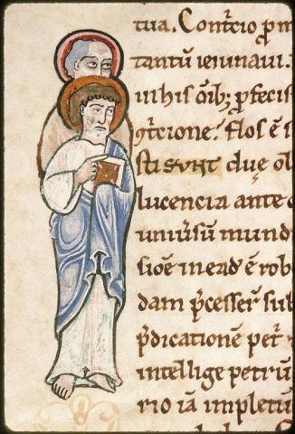 Avignon, BM, ms. 593, f. 37v