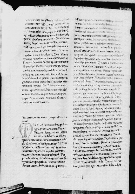 Chartres, BM, ms. 171, f. 41v