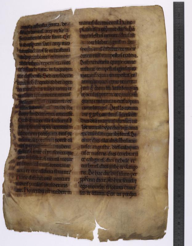 Chartres, BM, ms. 144, f. XY